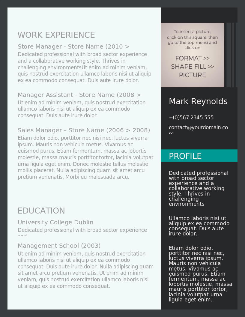 Modern and Professional CV – Vorschau